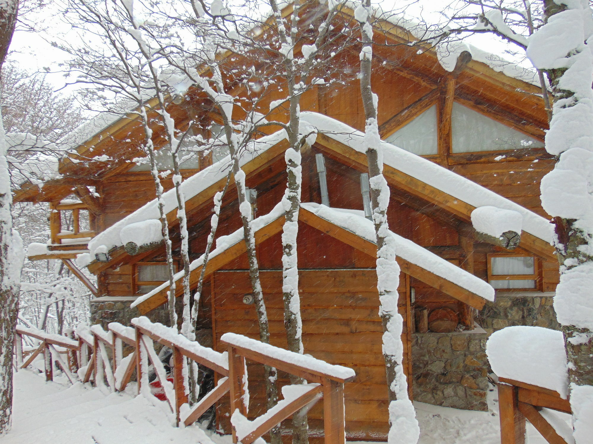 Patagonia Villa Lodge อูซัวยา ภายนอก รูปภาพ